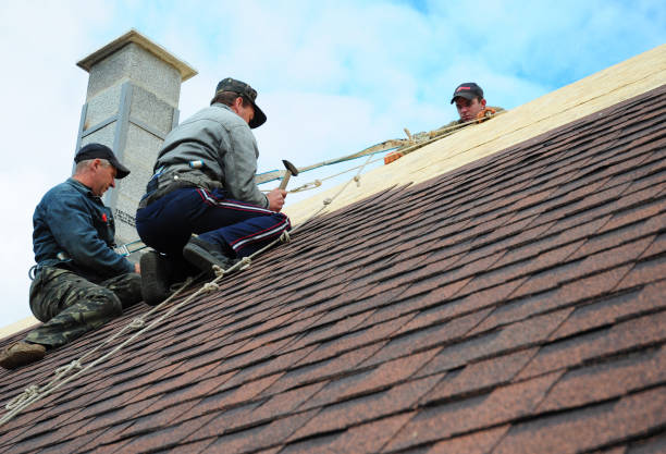 Best Residential Roofing Contractor  in Ensley, FL